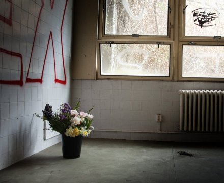 Fotografie po úpravě