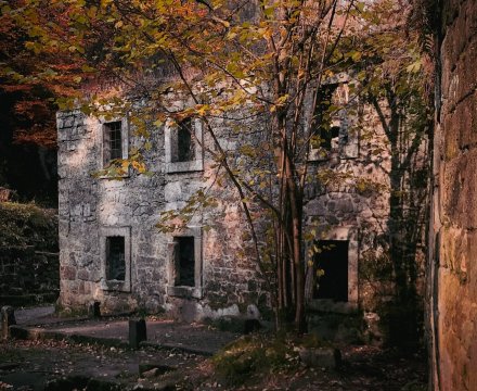 Fotografie po úpravě