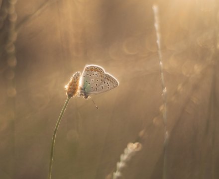 Fotografie po úpravě