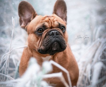 Fotografie po úpravě