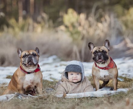 Fotografie po úpravě