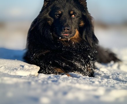 Fotografie po úpravě