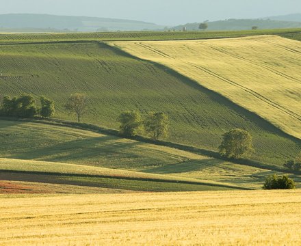 Fotografie po úpravě