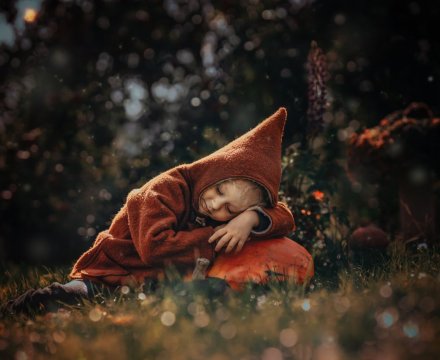 Fotografie po úpravě