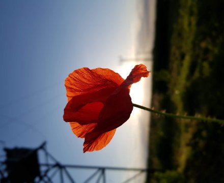 Fotografie po úpravě