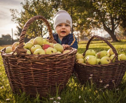 Fotografie po úpravě