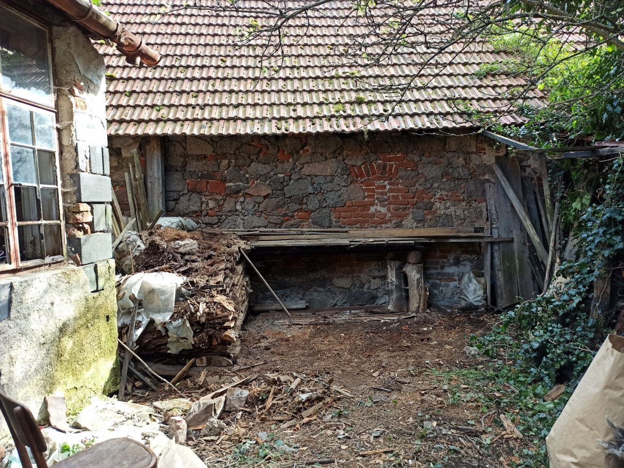 Fotografie před úpravou