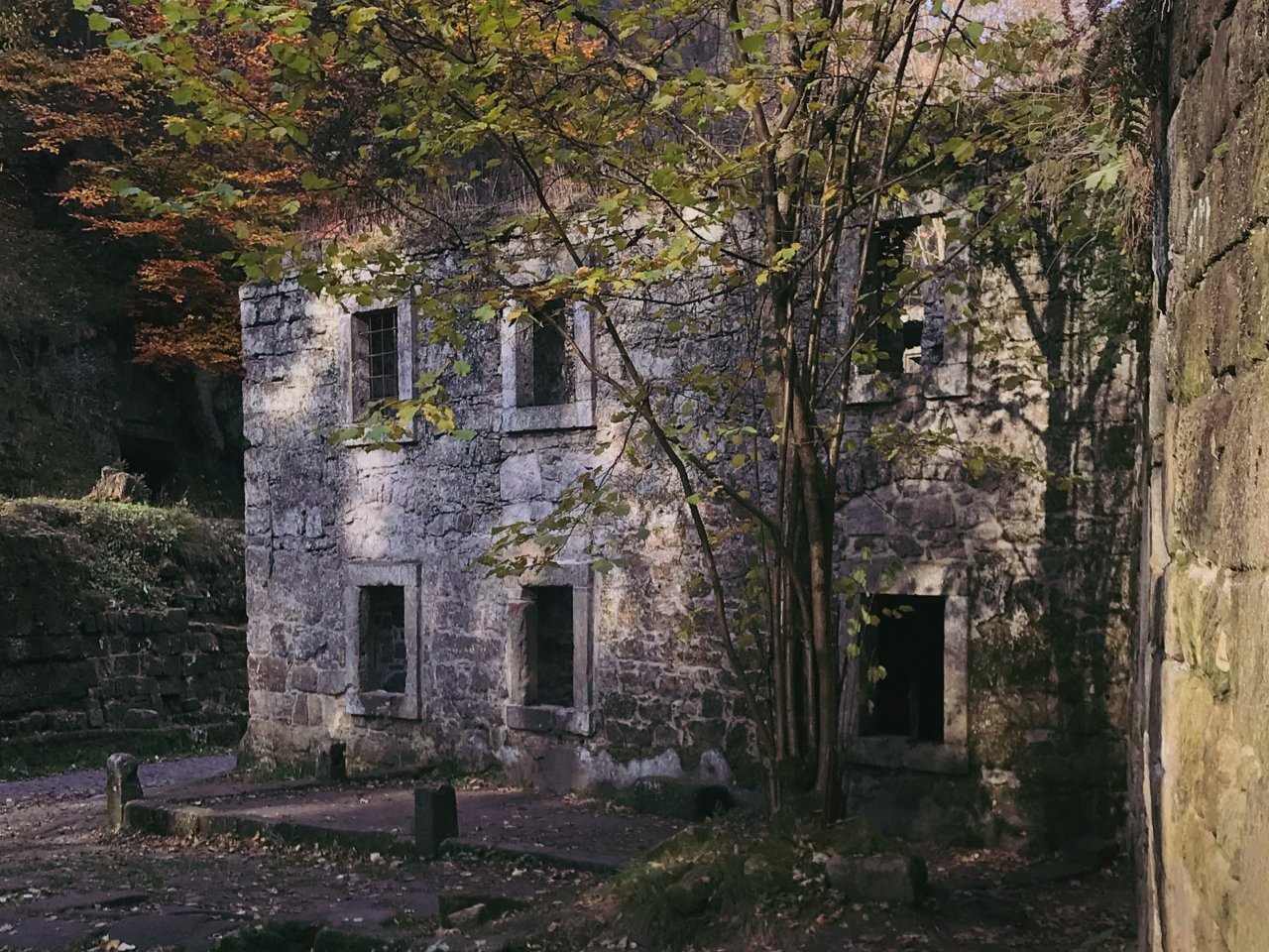 Fotografie před úpravou