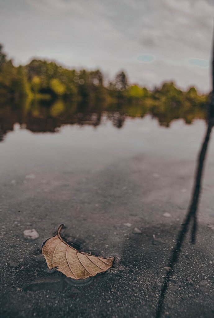Fotografie po úpravě