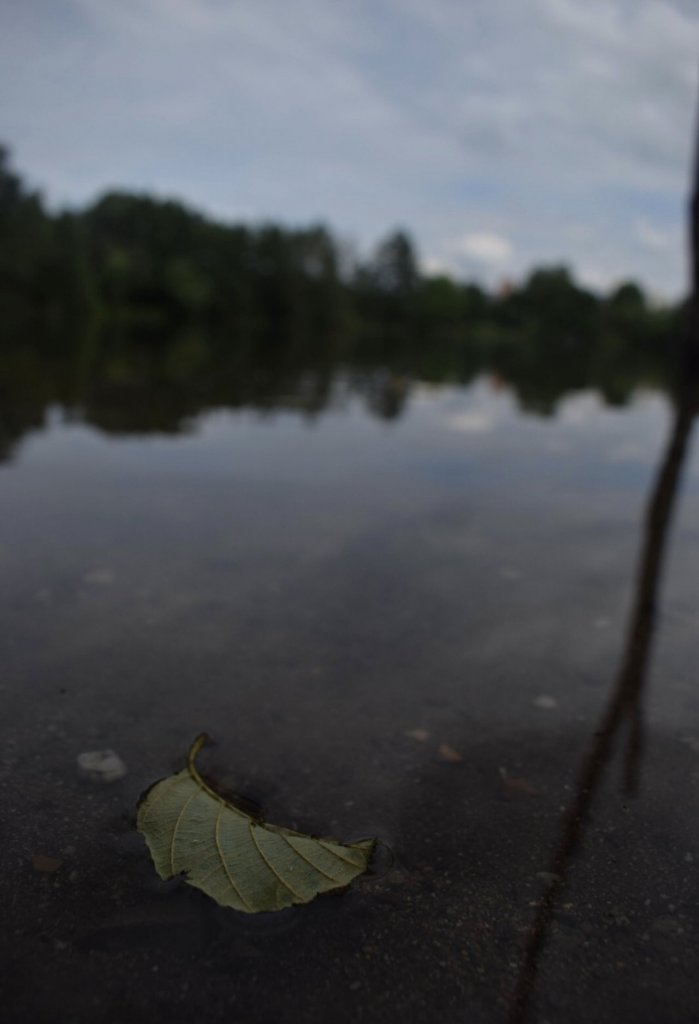 Fotografie před úpravou