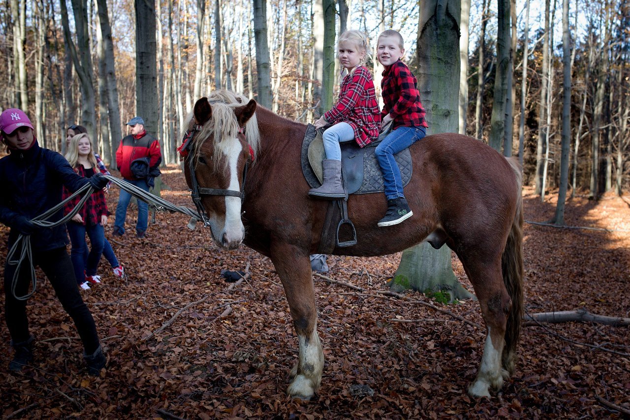 Fotografie před úpravou