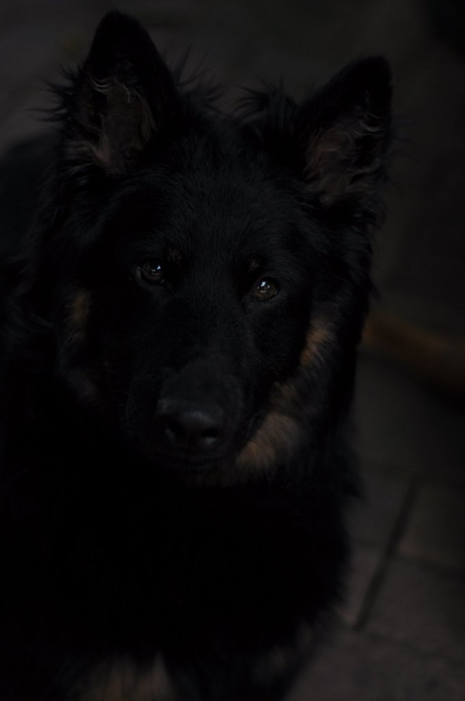 Fotografie před úpravou