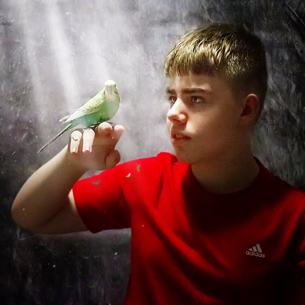 Fotografie po úpravě