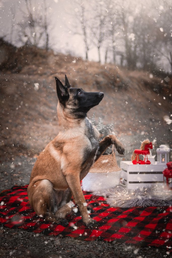 Fotografie po úpravě
