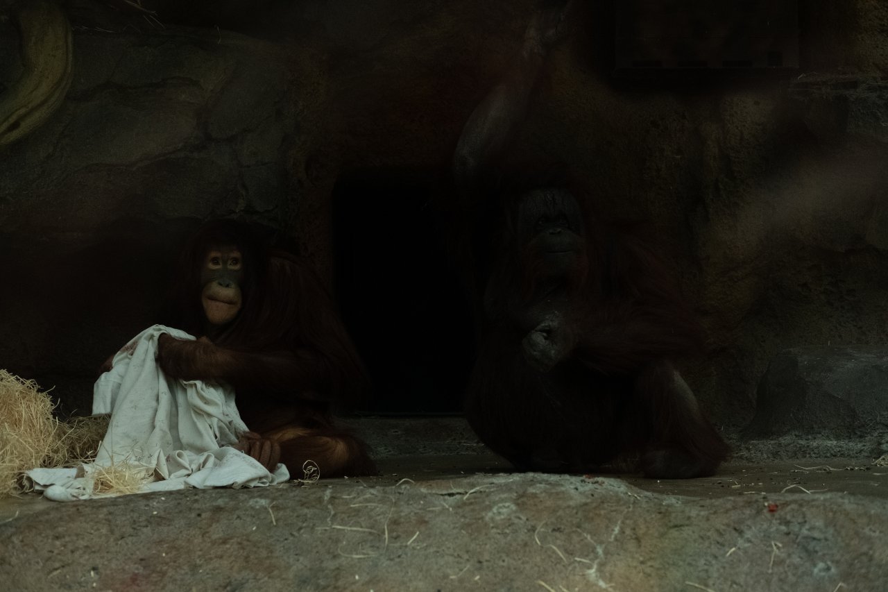 Fotografie před úpravou
