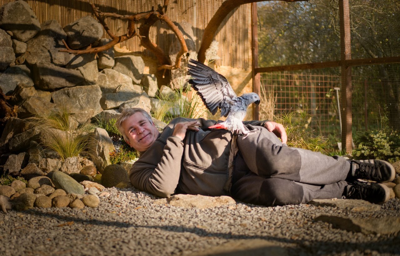 Fotografie po úpravě