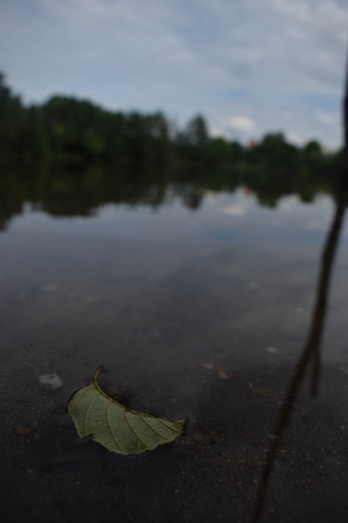 Fotografie před úpravou