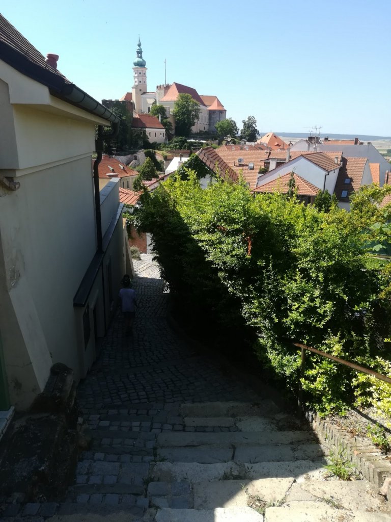 Fotografie před úpravou