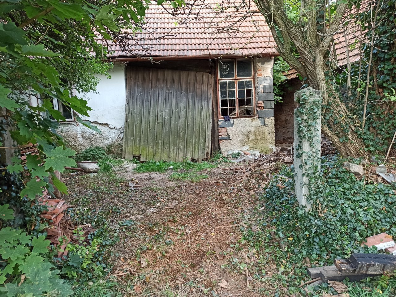 Fotografie před úpravou