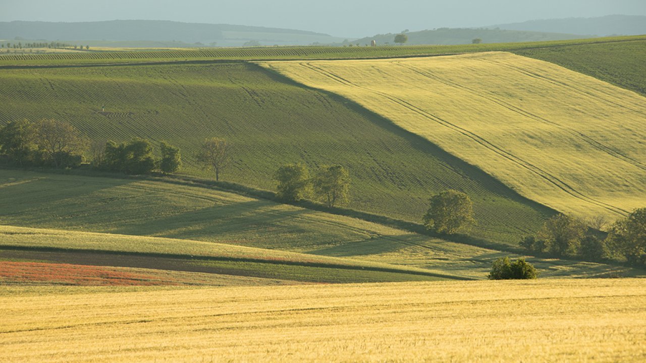 Fotografie před úpravou