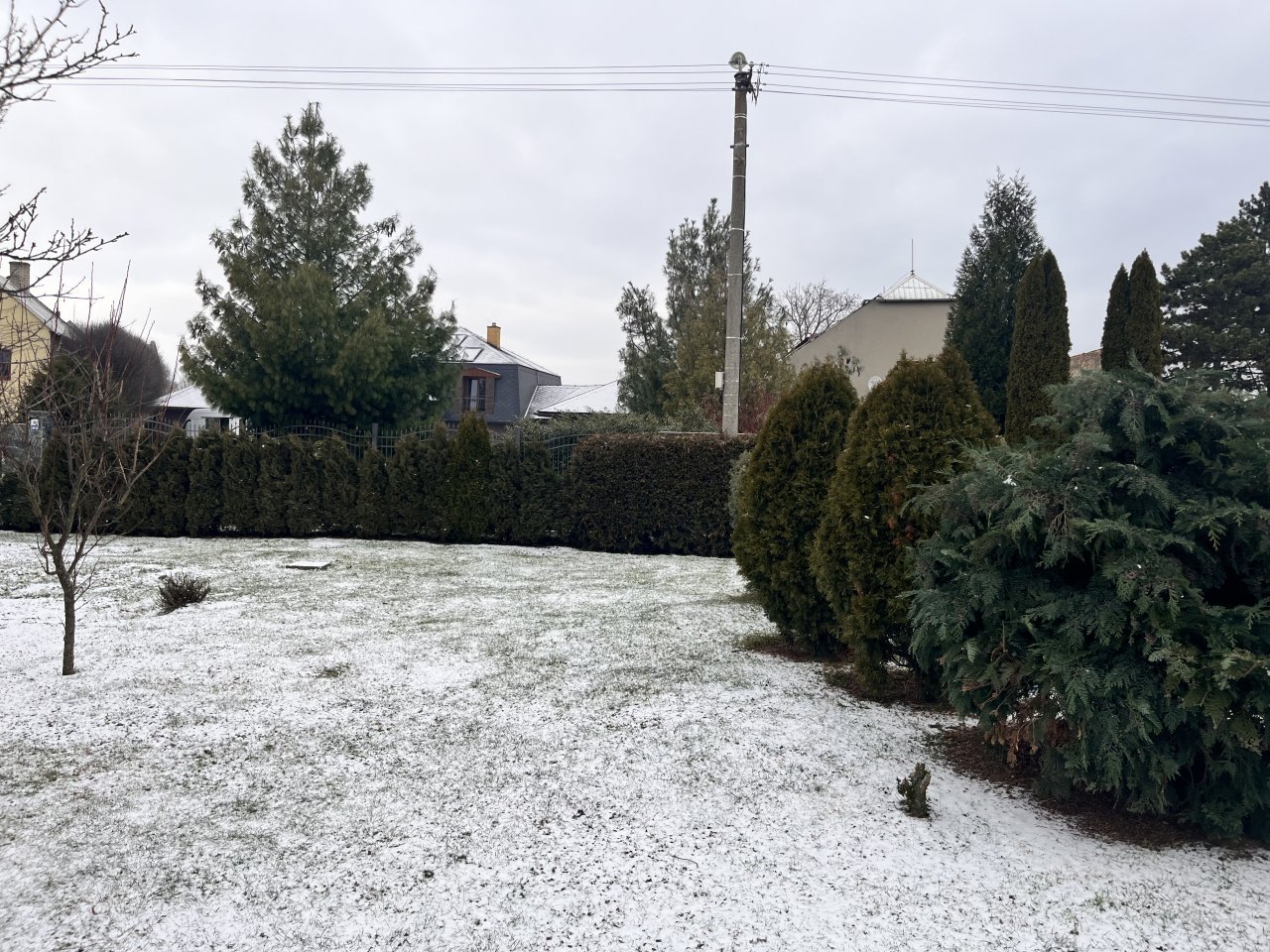 Fotografie před úpravou