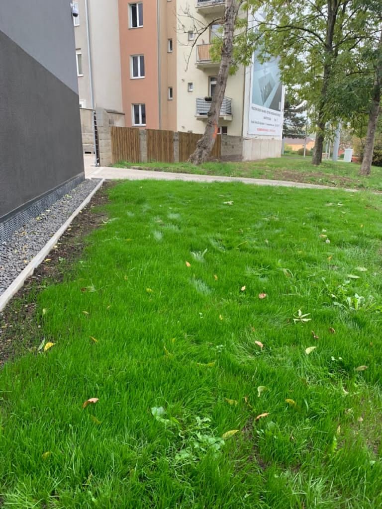 Fotografie po úpravě