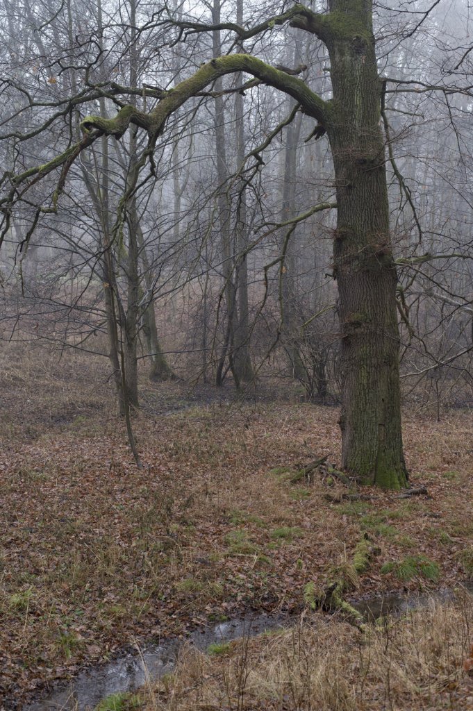 Fotografie před úpravou