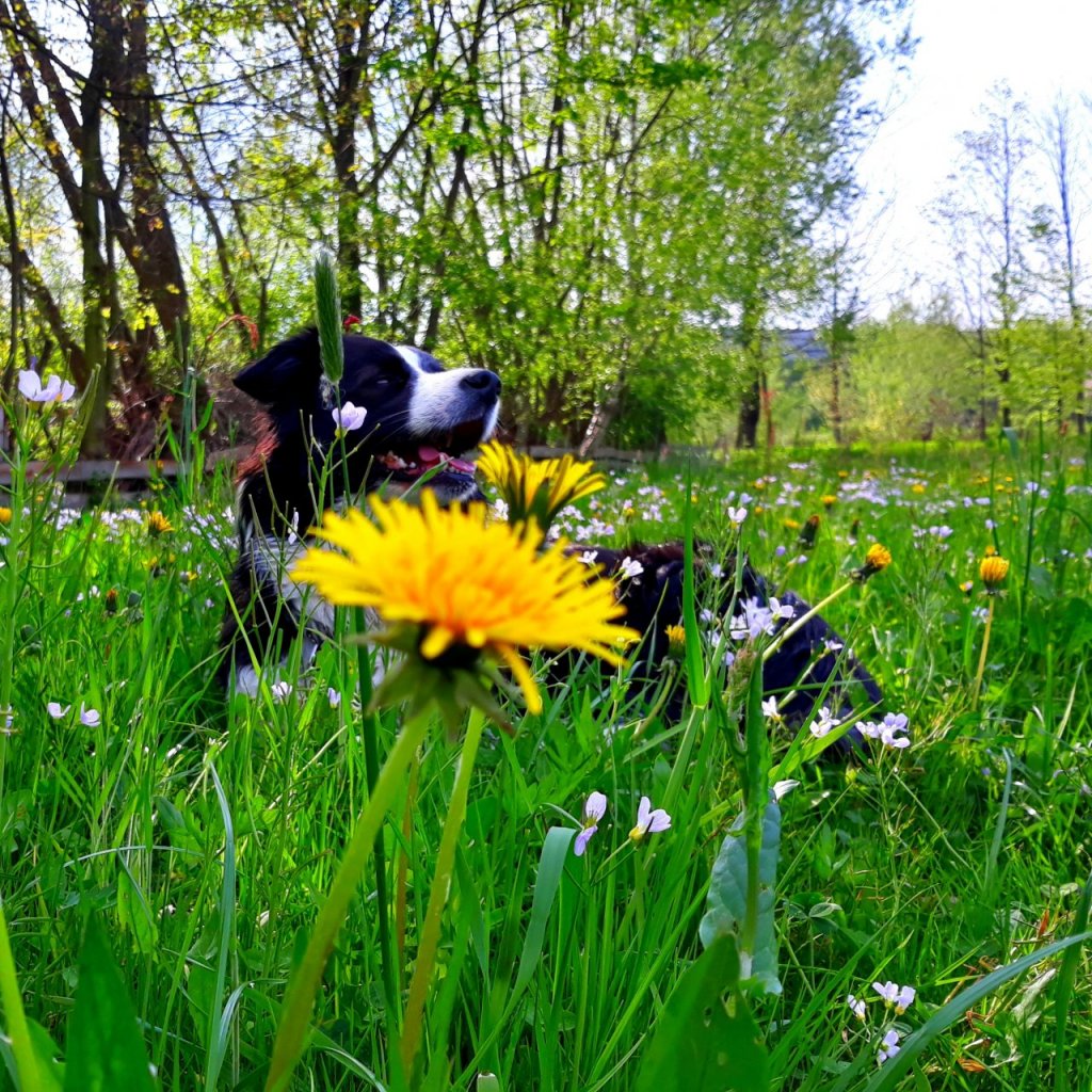 Fotografie před úpravou
