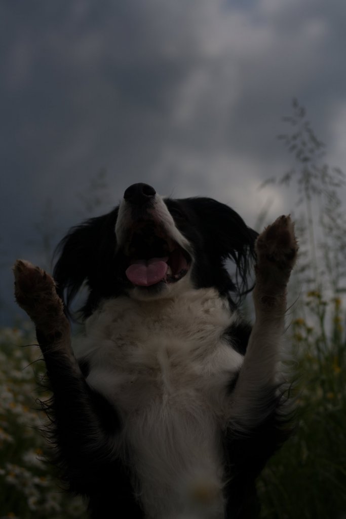 Fotografie po úpravě