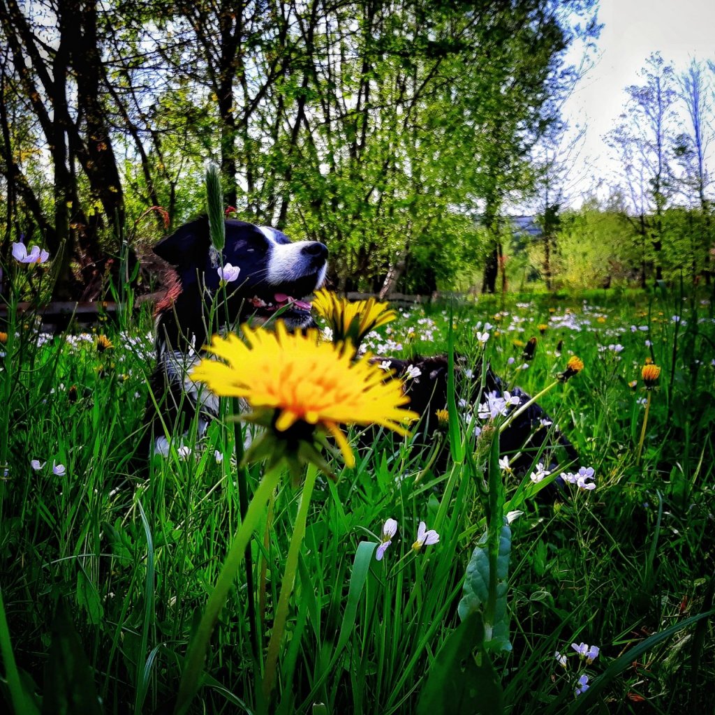 Fotografie po úpravě