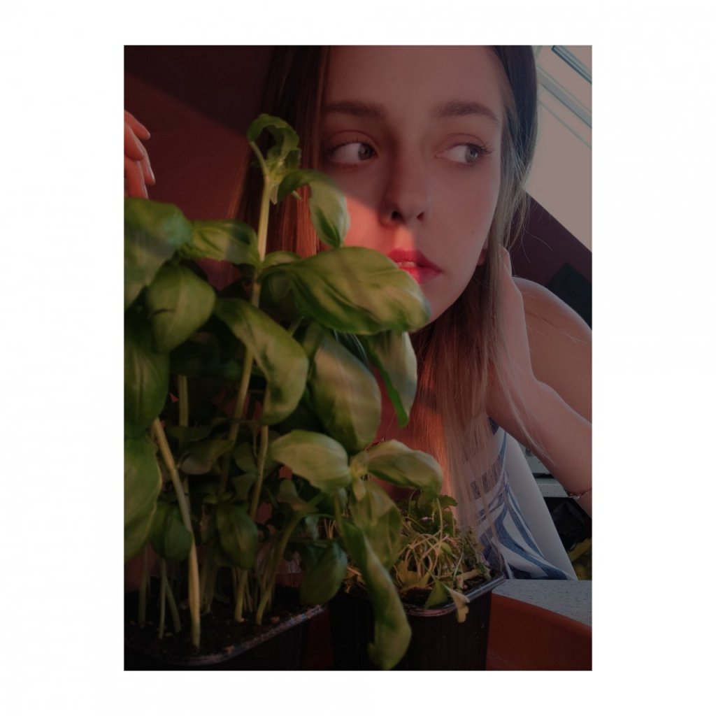 Fotografie po úpravě