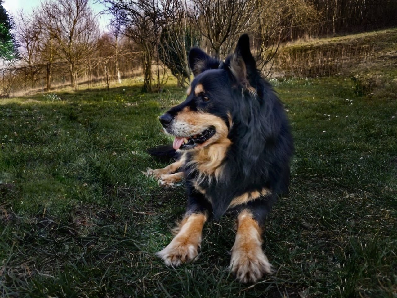 Fotografie po úpravě