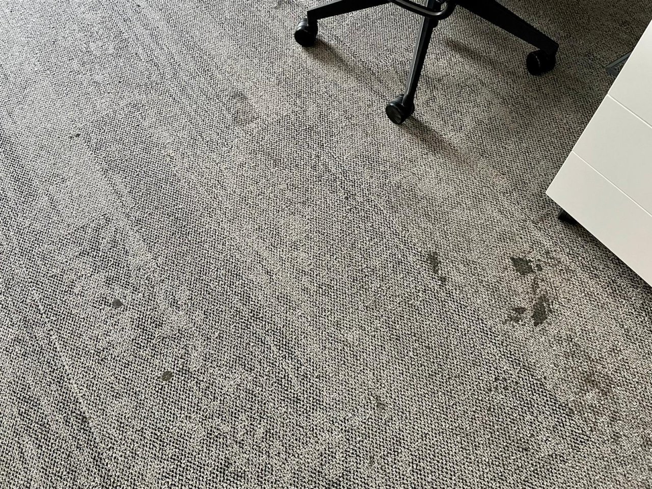 Fotografie před úpravou
