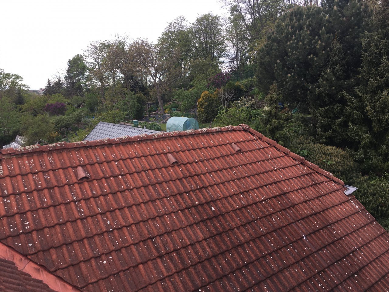 Fotografie před úpravou
