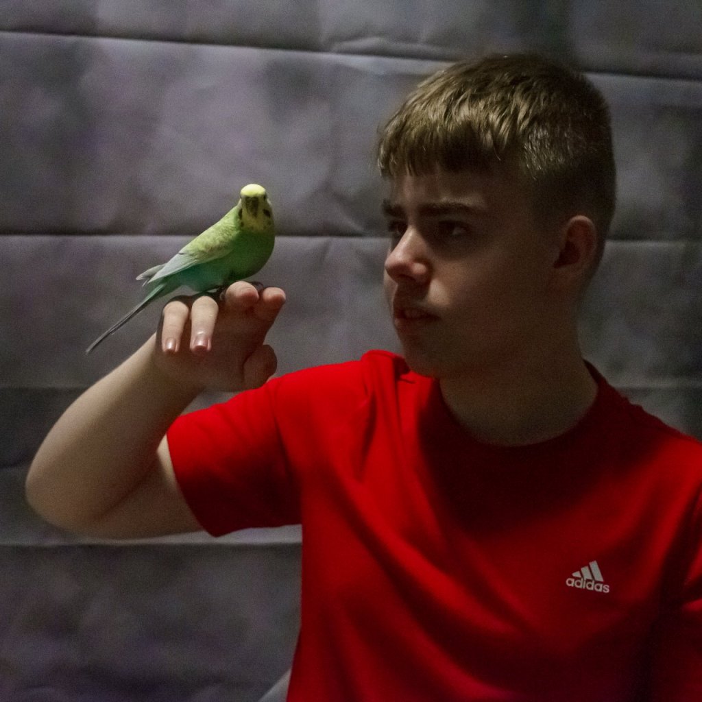 Fotografie před úpravou