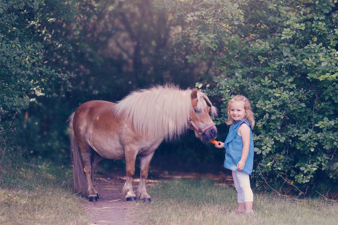 Fotografie po úpravě