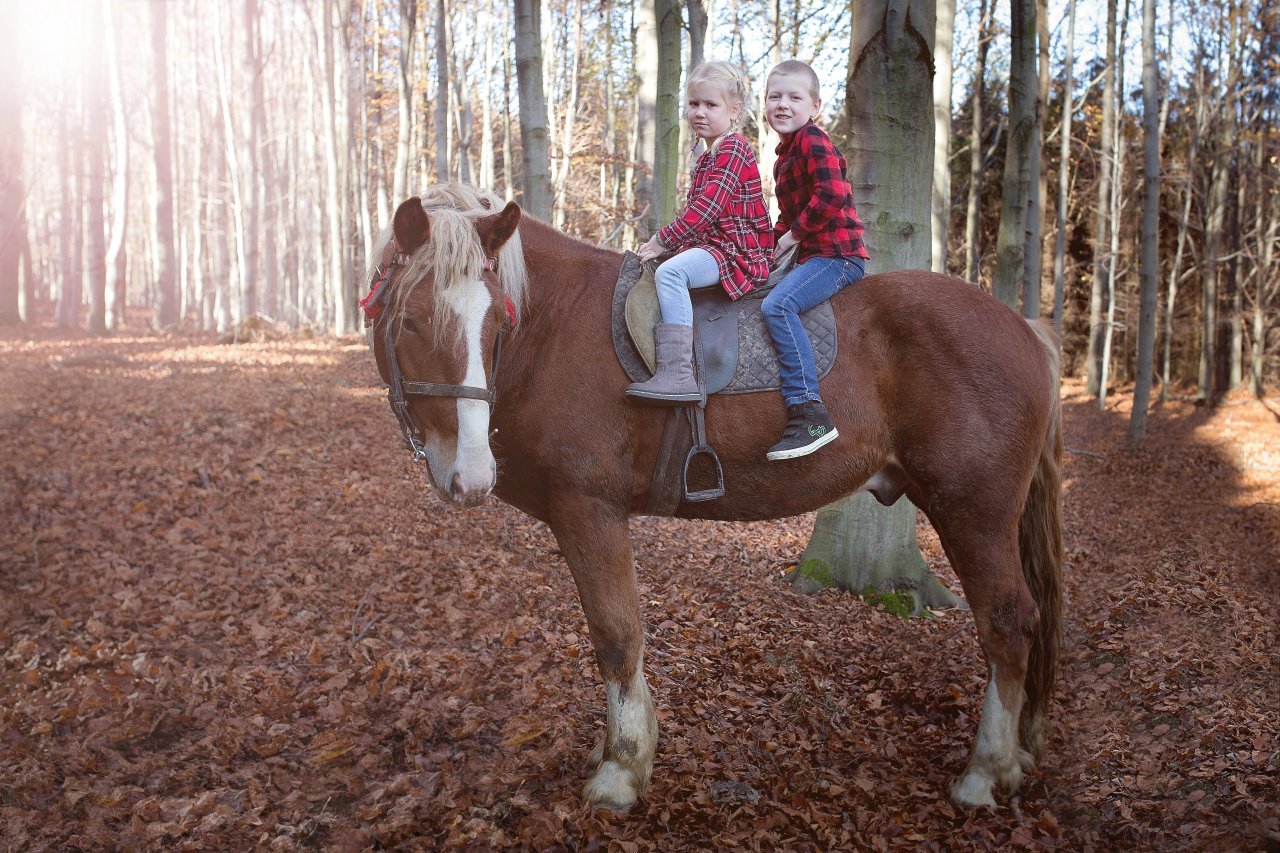 Fotografie po úpravě